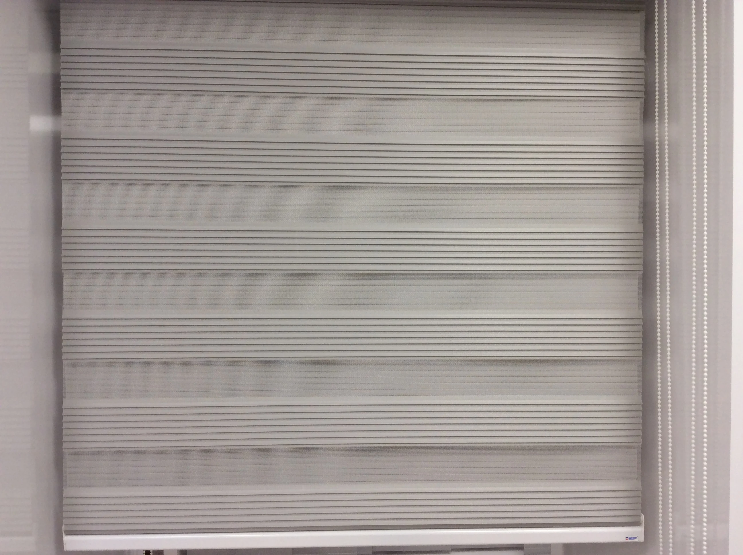 best quality  zebra curtain