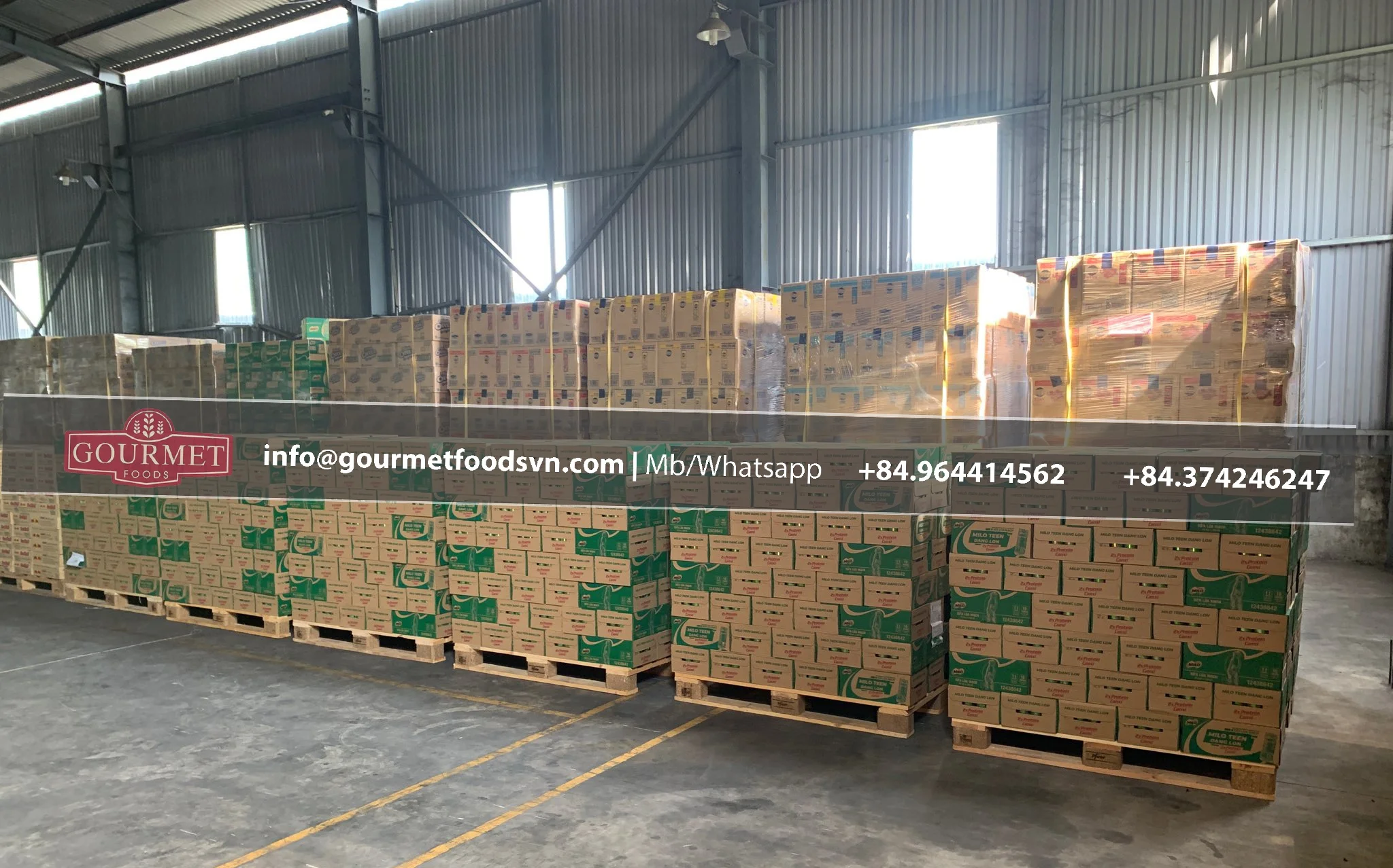 Сосредоточенное молоко Hoan Hao 380 г/сосредоточенное оптовая продажа