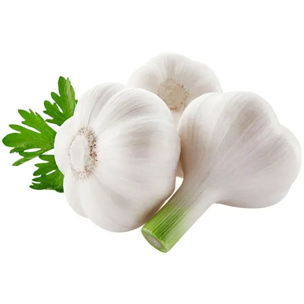 Brussels sprouts High Quality Wholesale High Quality Brussels Sprouts For Sale