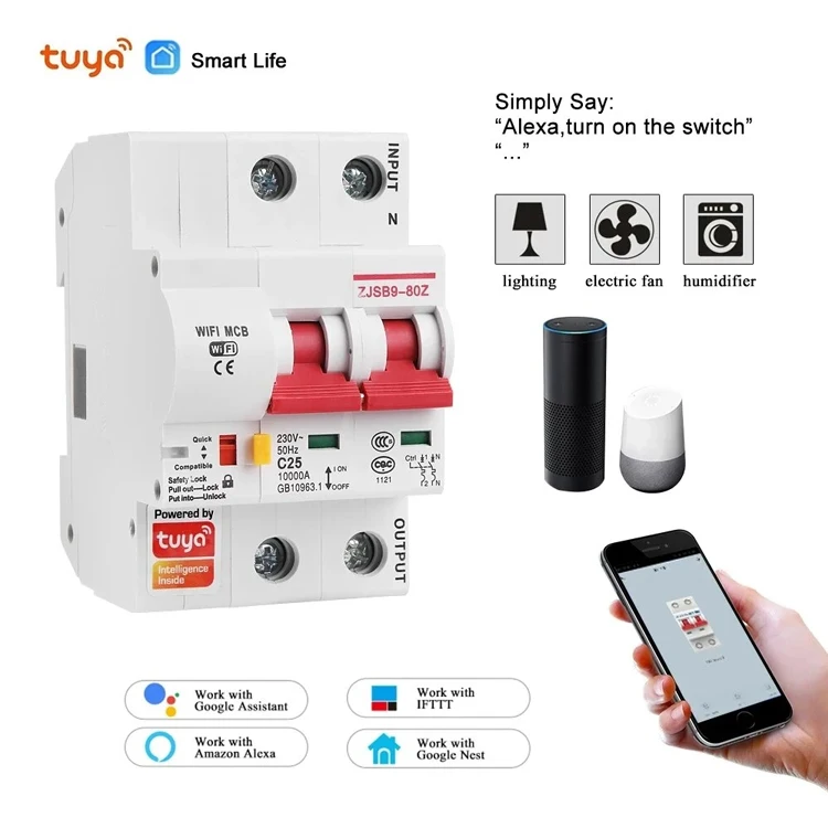 Tuya Smart Life 2P 80A WiFi Smart Circuit Breaker Overload Short-circuit Protection Works