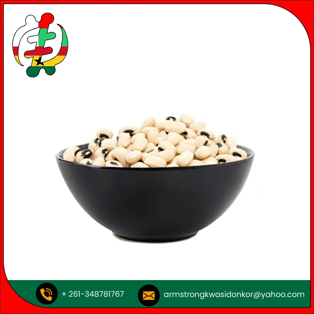 Оптовая продажа бобов для глаз черного цвета с высокой степенью чистоты по оптовой цене