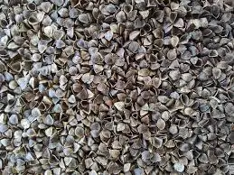 Фабричная гречневая шелуха оптовая продажа по заводской цене тройная Очистка