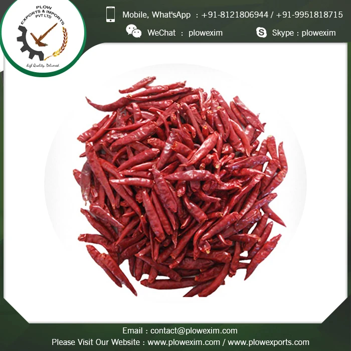 Indian Spices Dry Red Chillies TejaS17 Stemless