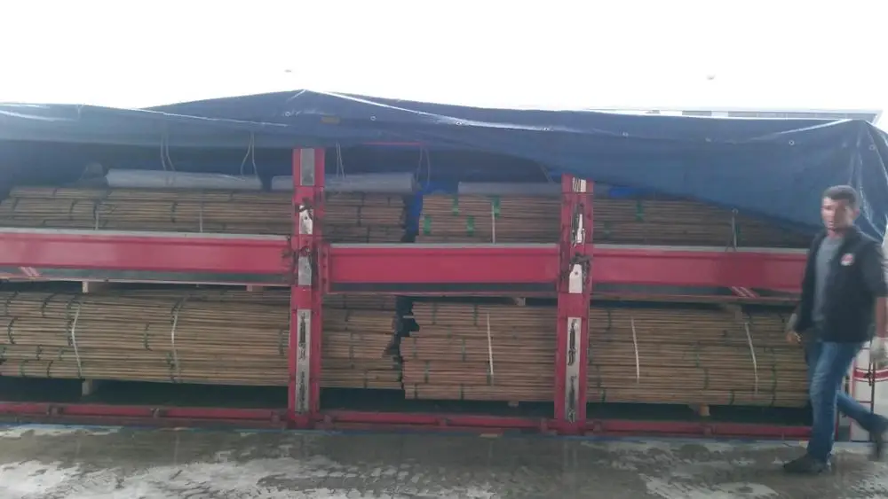 BAMBOO POLES 300 CM (10FT) FOR ORNAMENTAL PLANTS