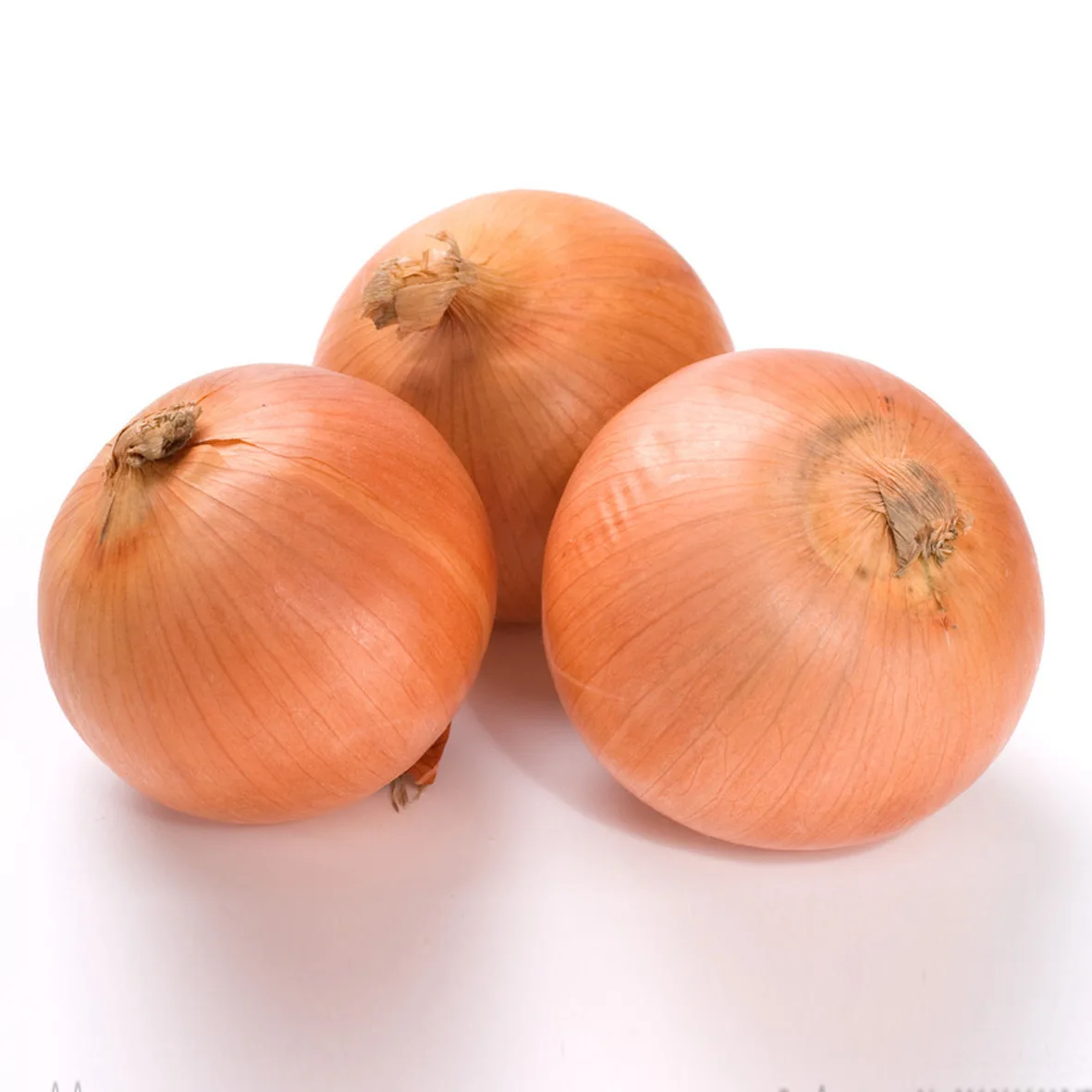 Premium Fresh Onions direct from Canada Farm (Premium Quality Fresh Onion)