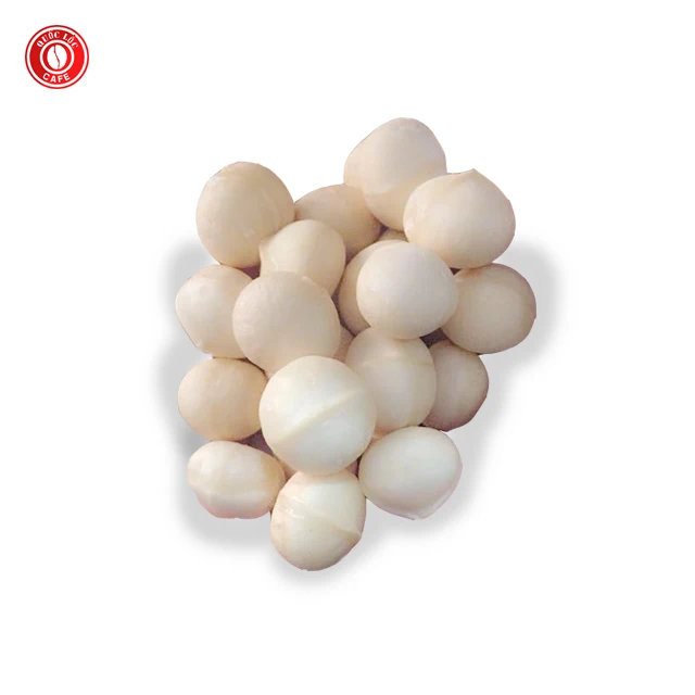 ISO Certification 5000gram Dry Cracked in Shells Nutritious Seeds Organic Cultivation Type Macadamia kernel from Vietnam