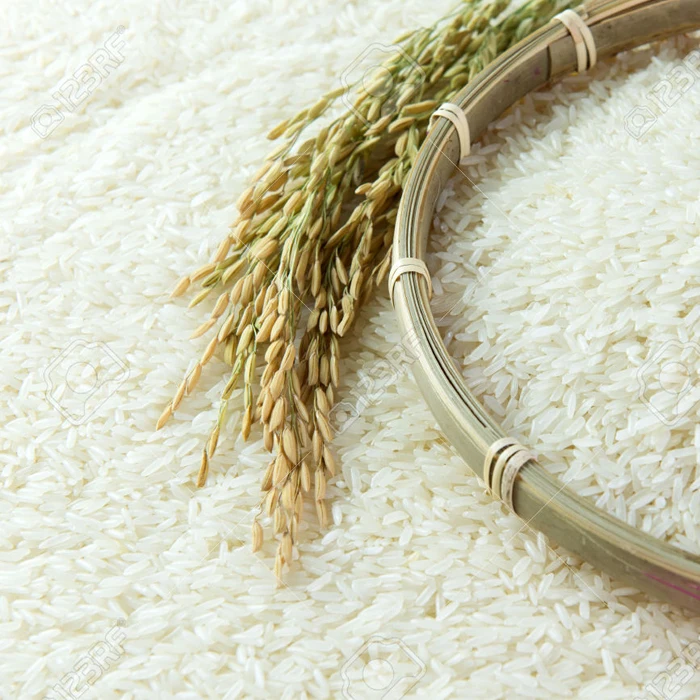 Long Grain Parboiled 5% Broken Rice / LONG GRAIN WHITE RICE 25% BROKEN