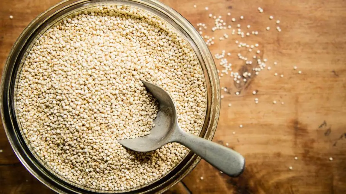 Good Quality Pure Quinoa Grains Cheap Rate Quinoa Grains