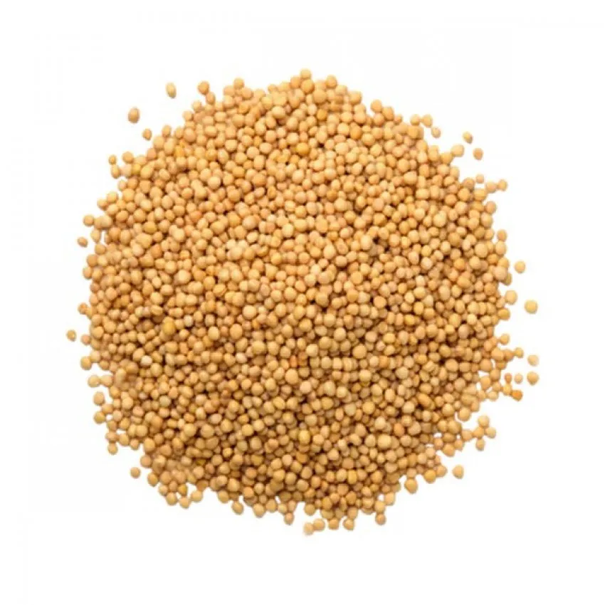 Spices Factory Wholesales high-quality kitchen seasonings mustard seeds yellow mustard seeds dried mustard with low price