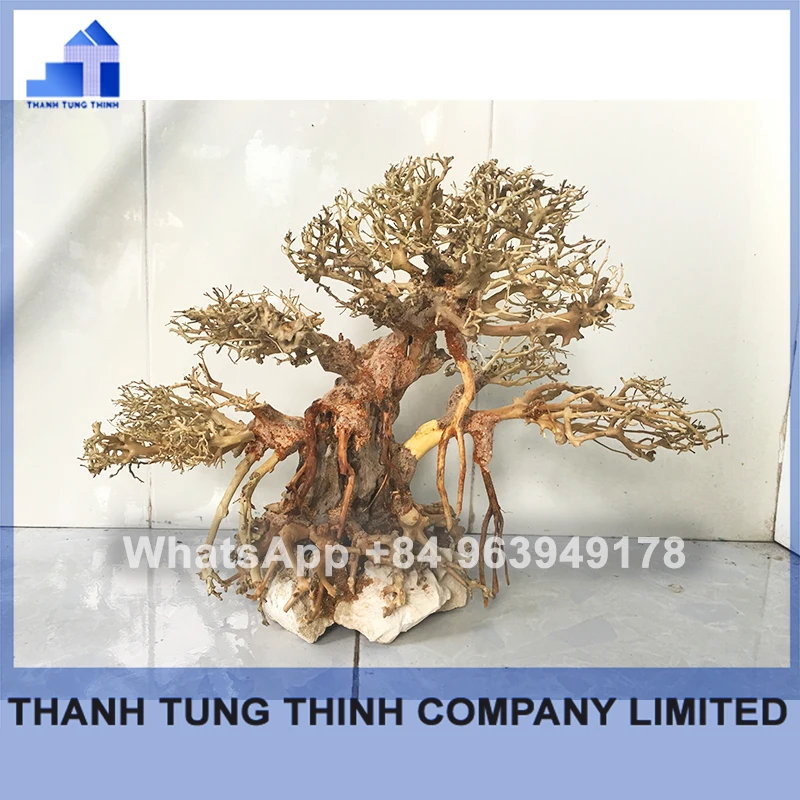 2024 Hot Design Wholesale Natural Bonsai driftwood for fish tank aquarium WhatsApp: +84 961005832