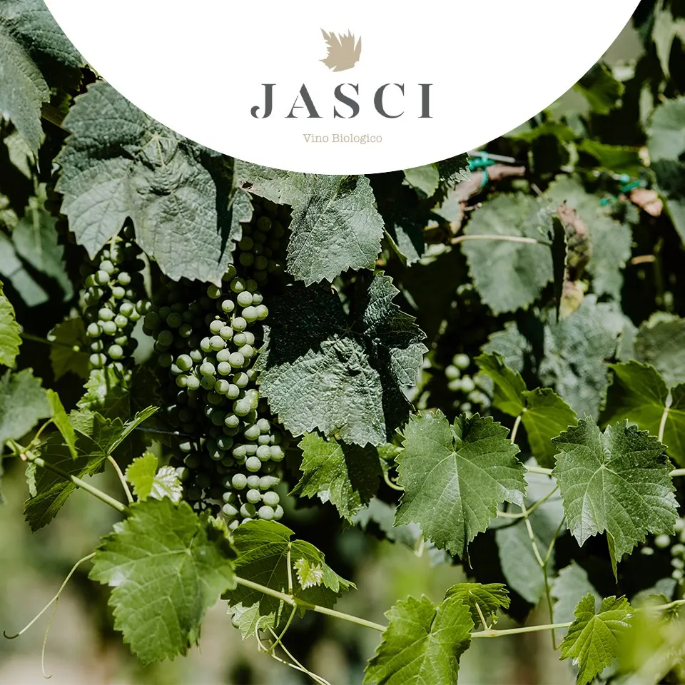 Итальянские сульфаты без добавления, органическое красное вино монтеспульциано 75 Cl для Дина