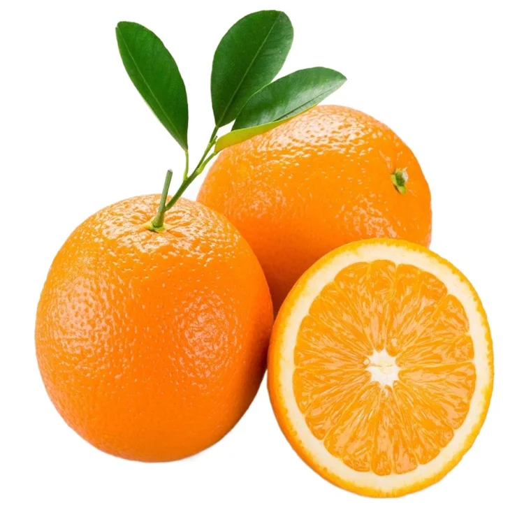 Sweet Oranges Valencia Orange Fresh wholesale (1700007565679)
