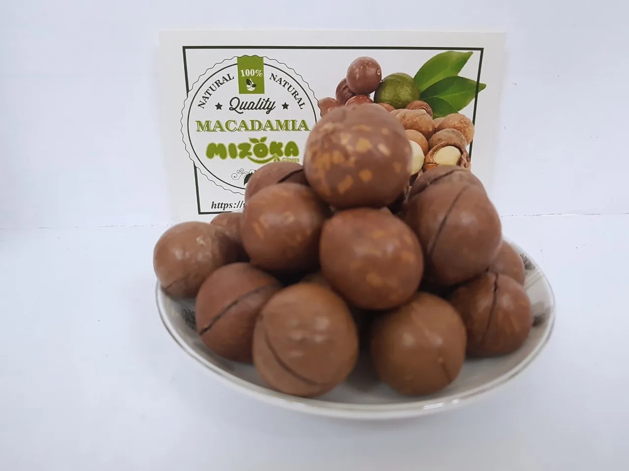 
macadamia nuts original from Vietnam macadamia high quality 2021 