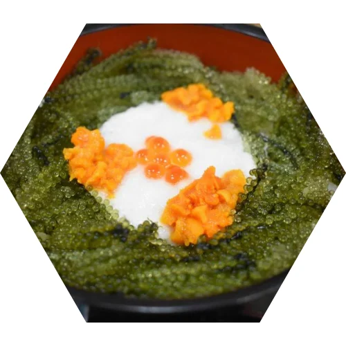 Хорошая морская еда-дегидратированные морские водоросли винограда/Whatsapp + 84382089109