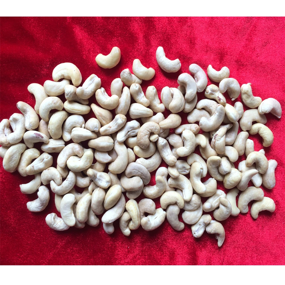 
Export Cashew Nuts W320 From Vietnam High Quality Cashew Nuts W320 W240 Manufacturing Company Vietnam Buy Now Premium Cashew Nut 