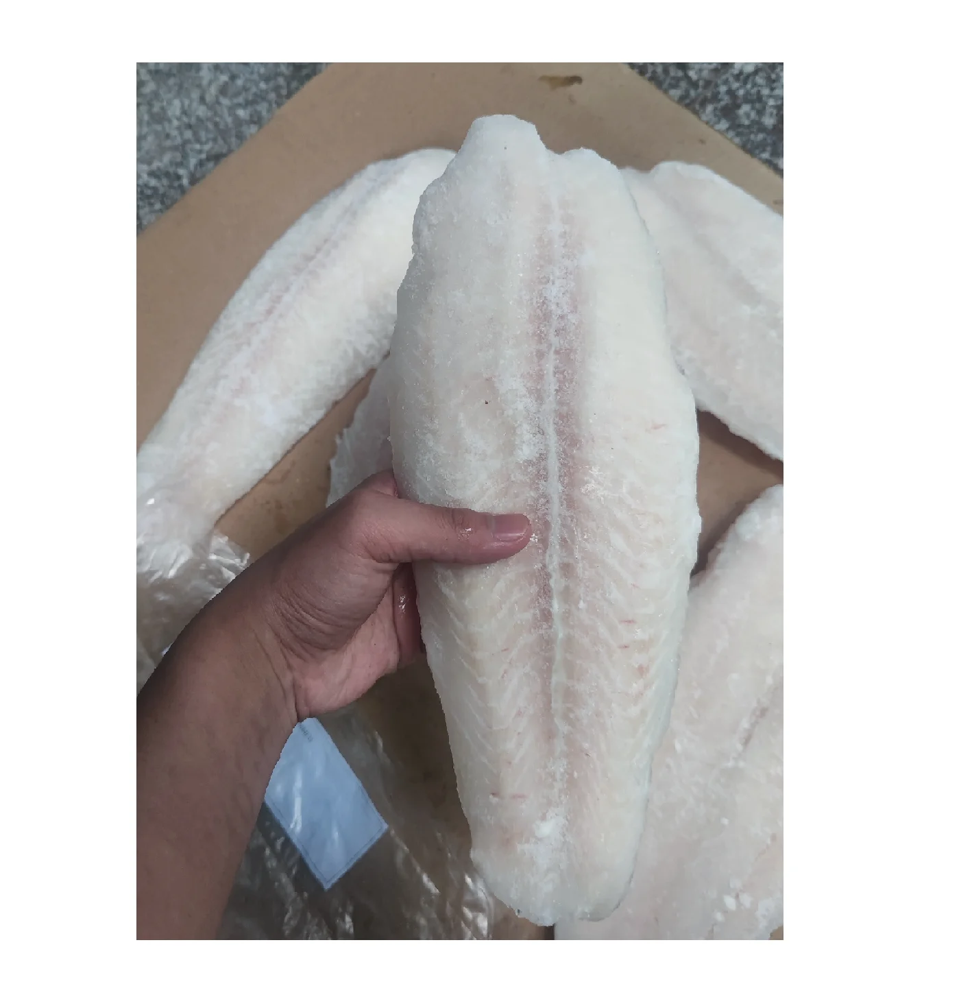 IQF Basa fish/ Cream Dory Fish/ Pangasius fillet