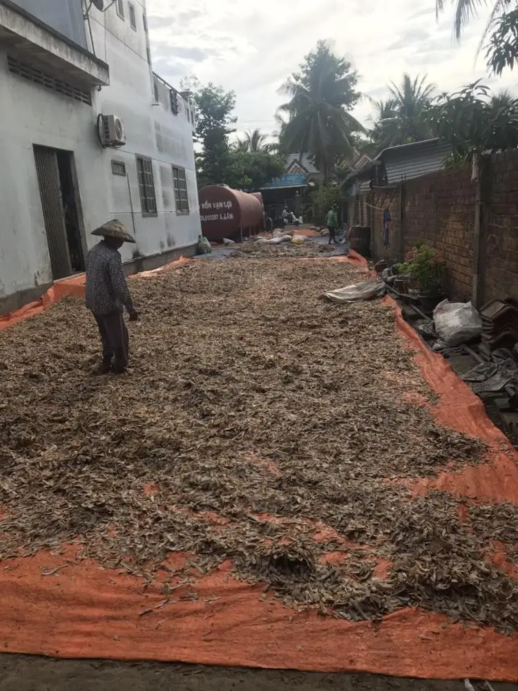 CHEAP PRICE EXPELLER COPRA CAKE/COCONUT MEAL FOR FEEDING ANIMALS AGENAS