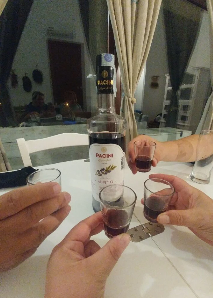 Высококачественный Итальянский ликер PACINI 50 cl красный Миртл с сардинскими ягодами дикой для