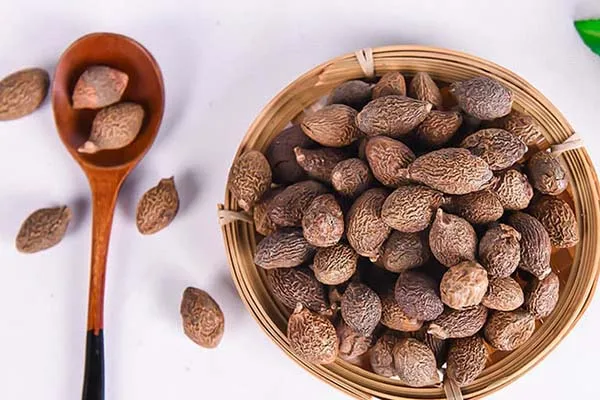 MALVA NUT FROM VIETNAM/ BEST PRICE AND HIGH QUALITY/  GOOD FOR HEALTH (WA: MS.LAURA +84 91 850 9071 )