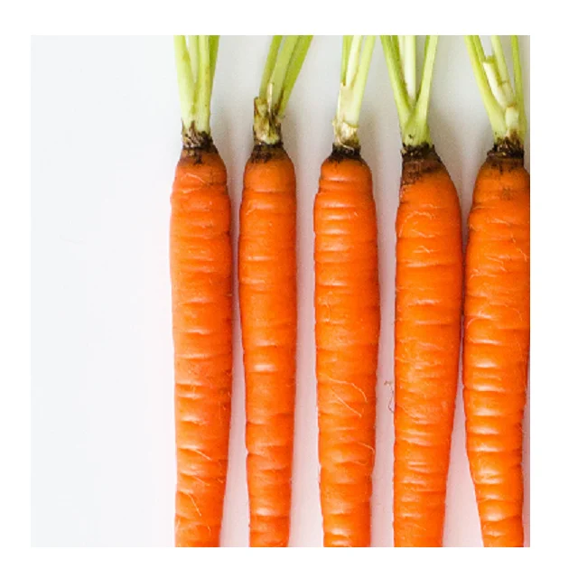 
New Crop Fresh Carrots Best Selling In Reasonable Price 