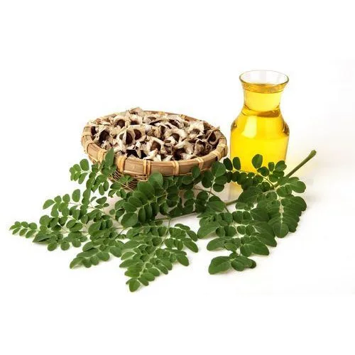 Best selling plant extract moringa oleifera leaf extract powder