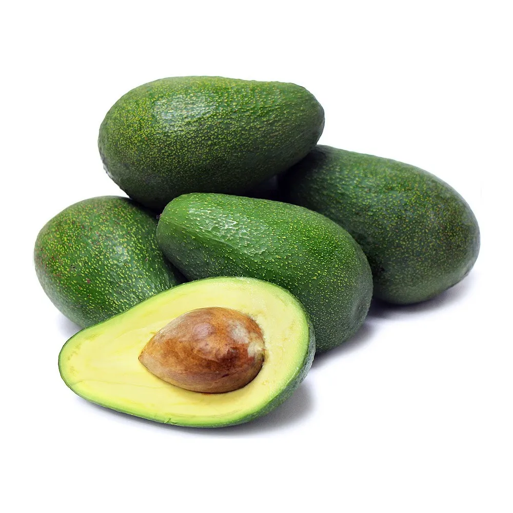 
Fresh Avocados avocado fresh hass and fuerte 