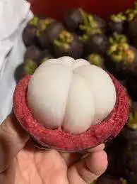 Mangosteen - Tropical Fruit Fresh And Sweet No Preservative Special Taste Natural Steamed Fresh Mangosteen