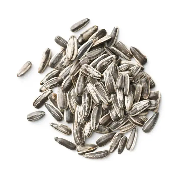 Sunflower Seeds Sunflower Seeds For Sale Refined Quality