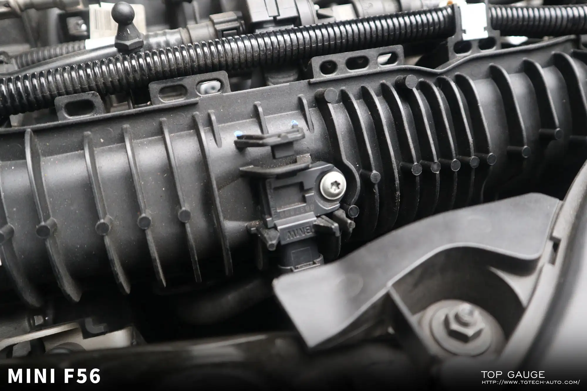 Nylon Exhaust Valve compatible with Mini Cooper F56 Mini Marque