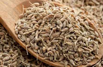 High Quality Anise Seeds