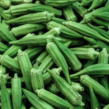 FRESH OKRA WHOLESALES PRICE