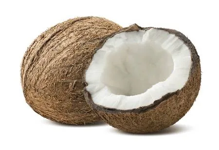 Wholesale Vietnamese  good quality 100% Matured Dried SEMI HUSKED COCONUT