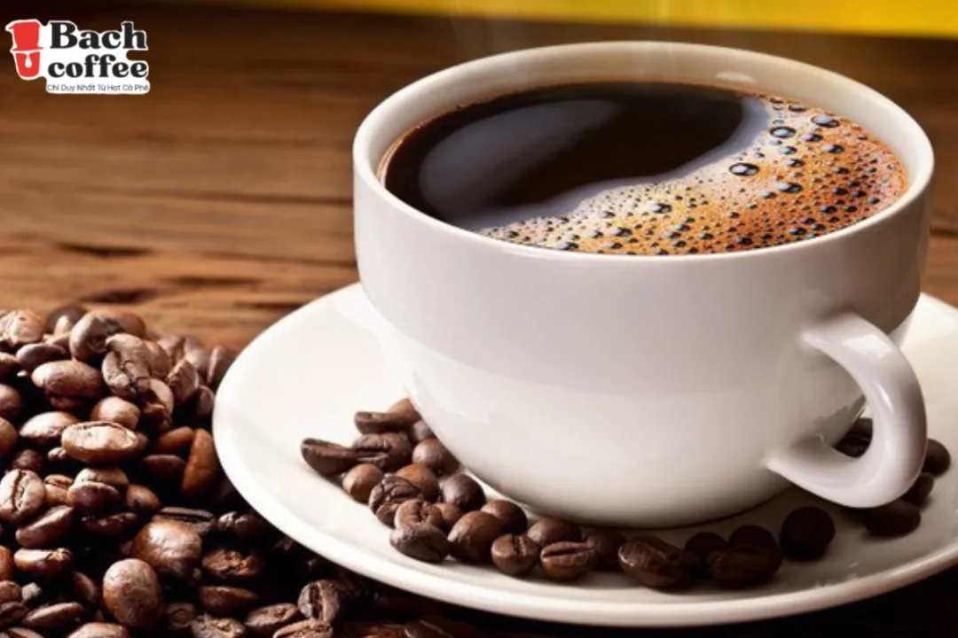 Espresso Italiano Arabica Whole Bean Coffee - Medium Roast  - 100 pure coffee beans grown in High Land , Viet Nam