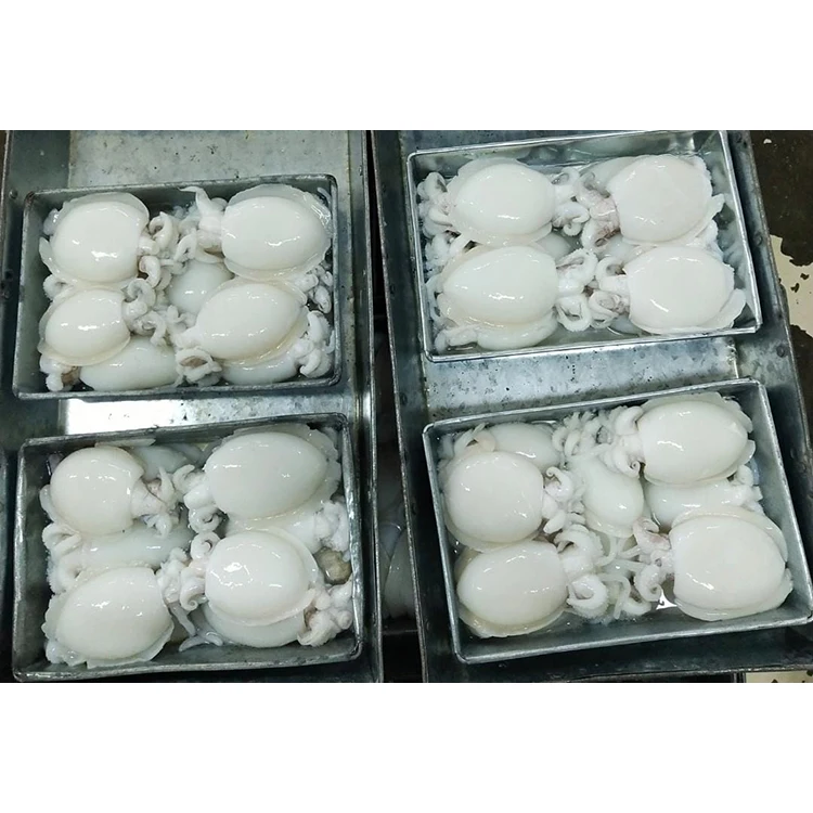 Clean HACCP Certified Seafood Supplier Cuttlefish