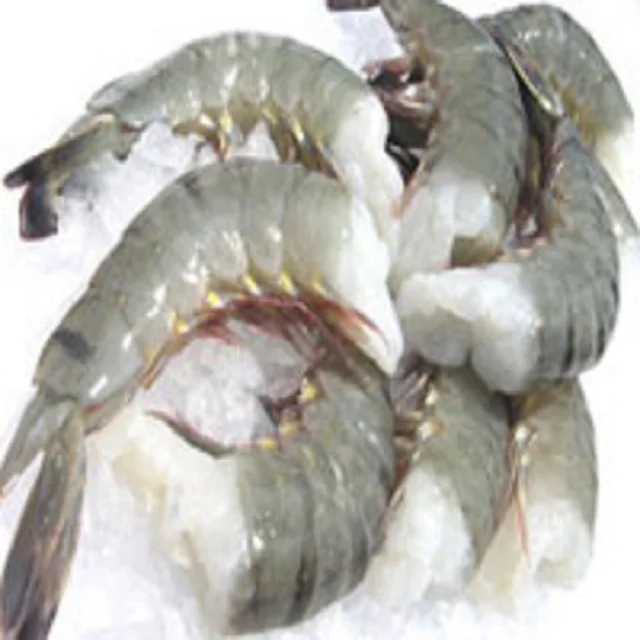 widely Selling Fresh Frozen Whole Vannamei Shrimp White / Black Tiger Shrimp /prawn