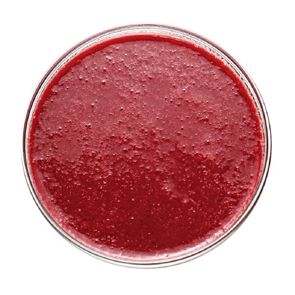  Вьетнамский Сертифицированный Халяль упаковка в коробку темно-красный клубничный фруктовый целый пюре концентрат с целлюлозой 100%