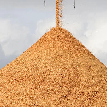 Sawdust - Sawdust Powder Latest Price, Manufacturers ...!!!!