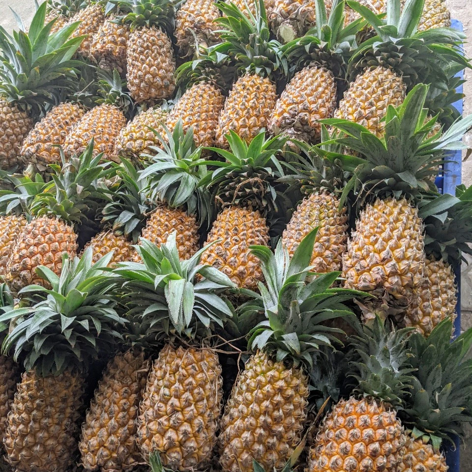 Лучший продукт 2022 ананас MD2 экспортного качества Лучшая цена с очень сладким во