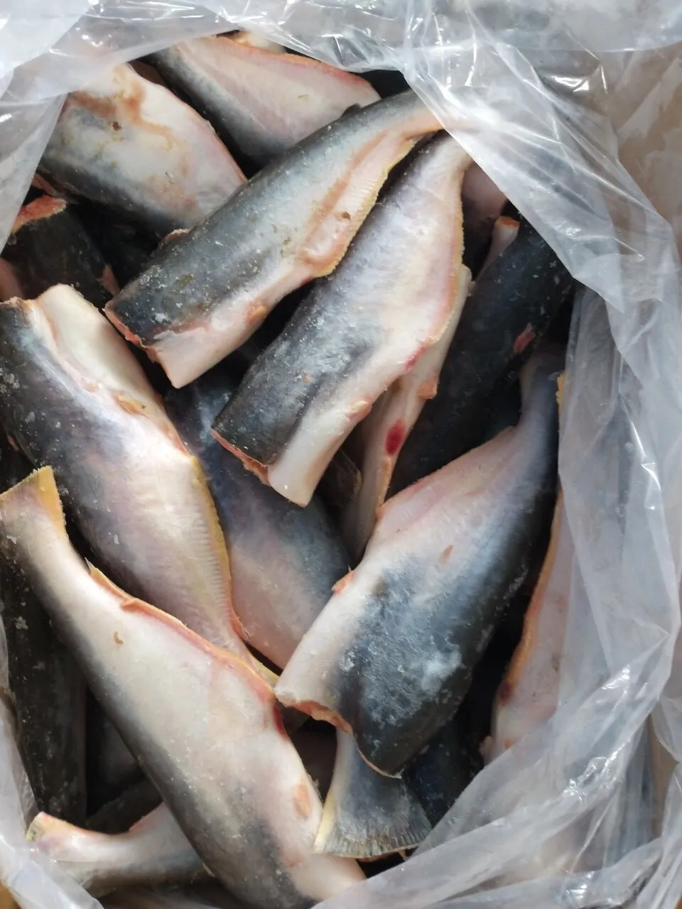 Специальные морепродукты-свежие рыбы баса без головы замороженные-pangasius Замороженные лучшее качество/праздник 84 845639639