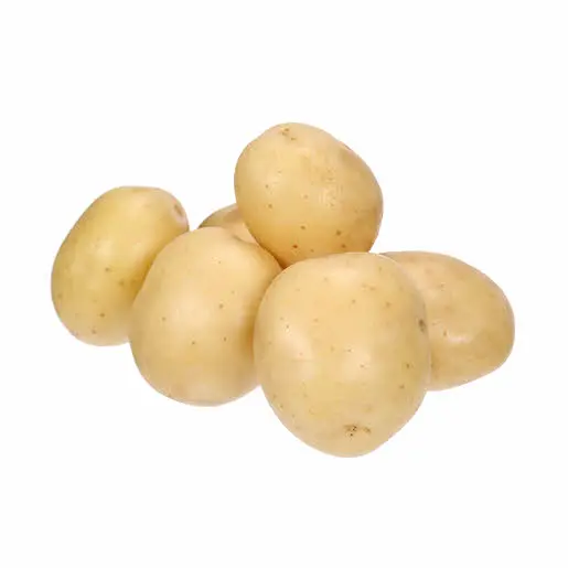 Wholesale Price High Quality Export Oriented 100% Organic Fresh Potato Oval Shape Potatoes From Bangladesh