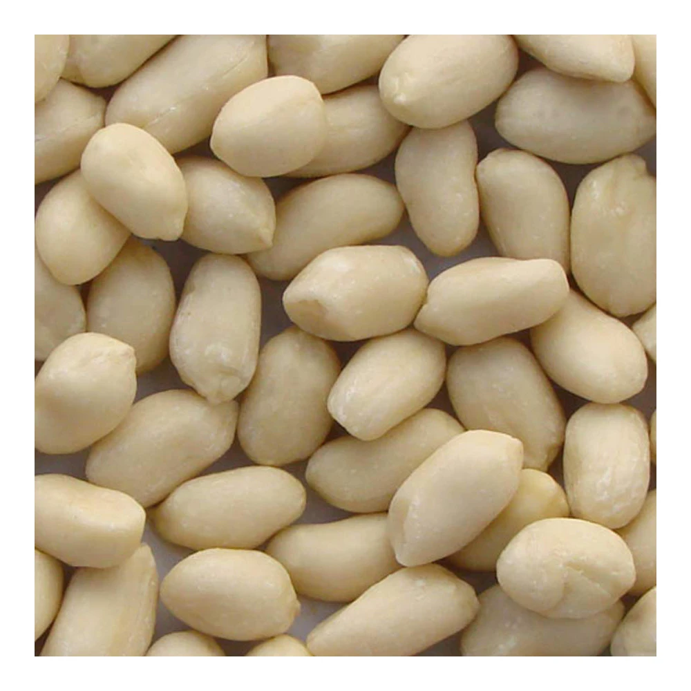 Exporters of Peanuts Bold