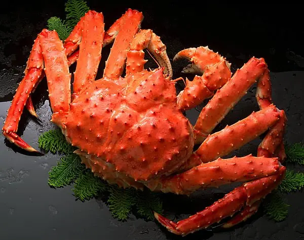 Русская красная король Краб/король Краб