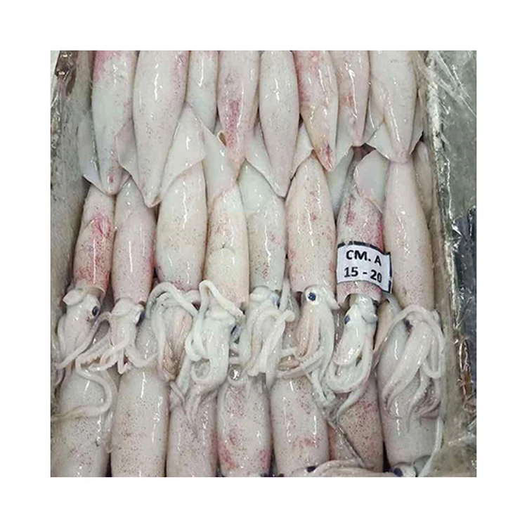 
Factory Direct Sale High Quality Frozen Squid 