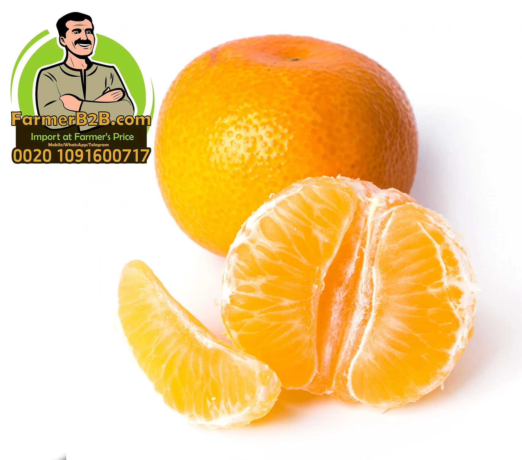 Top Quality Egyptian mandarin oranges (special price) for whole sale