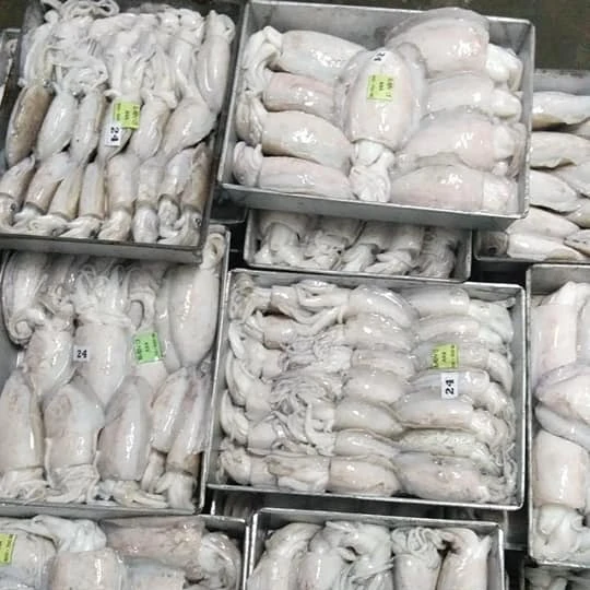 Замороженная морская рыба, свежая морская рыба, морская рыба