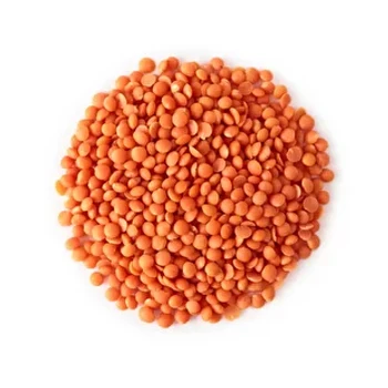 Bag And Bulk Packaging Whole Red Lentils Russian Origin