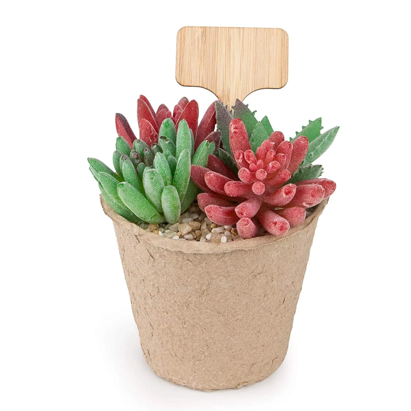 Custom Vegetable Garden Garden Plant Labels Plant Name Tags