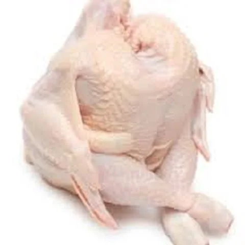 Top Quality Certified Halal Frozen Chicken Parts Feet/ Chicken Wings/ Frozen Whole Chicken