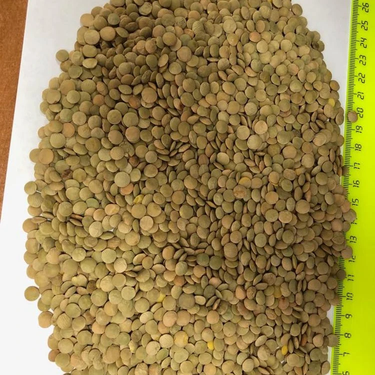 
Green Organic Lentil 