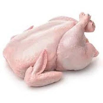 
Frozen Whole Turkey for Export 
